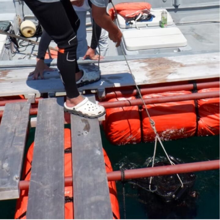 長崎みなと水産 平田屋の画像です