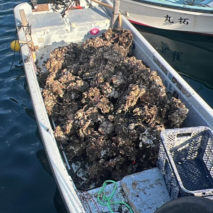 長崎みなと水産 平田屋の画像です